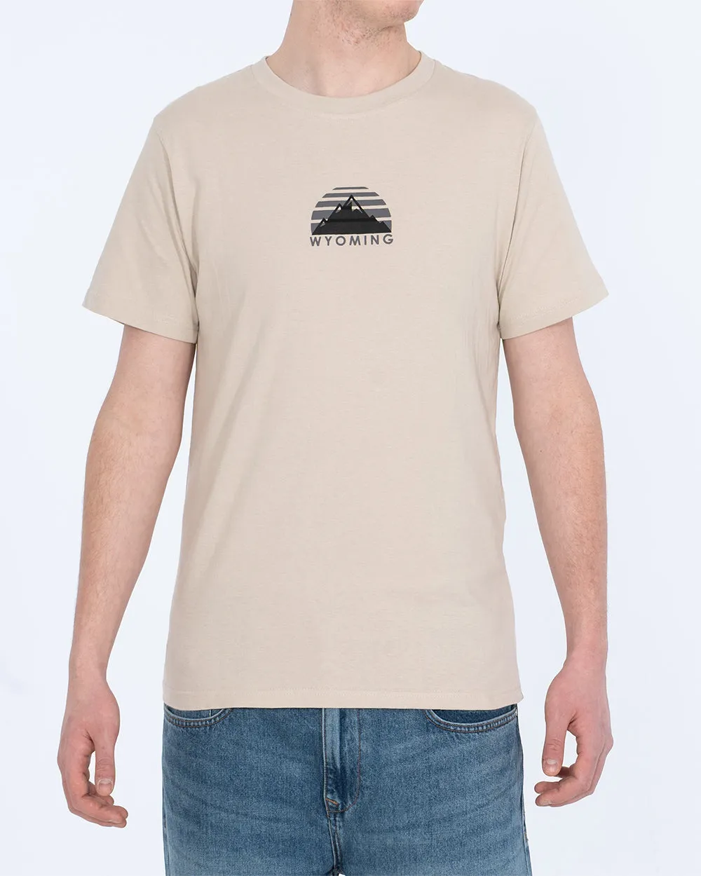 2t Tall Wyoming T-Shirt (taupe)