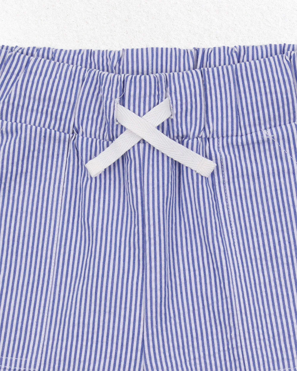 Blue Stripe Print Shorts