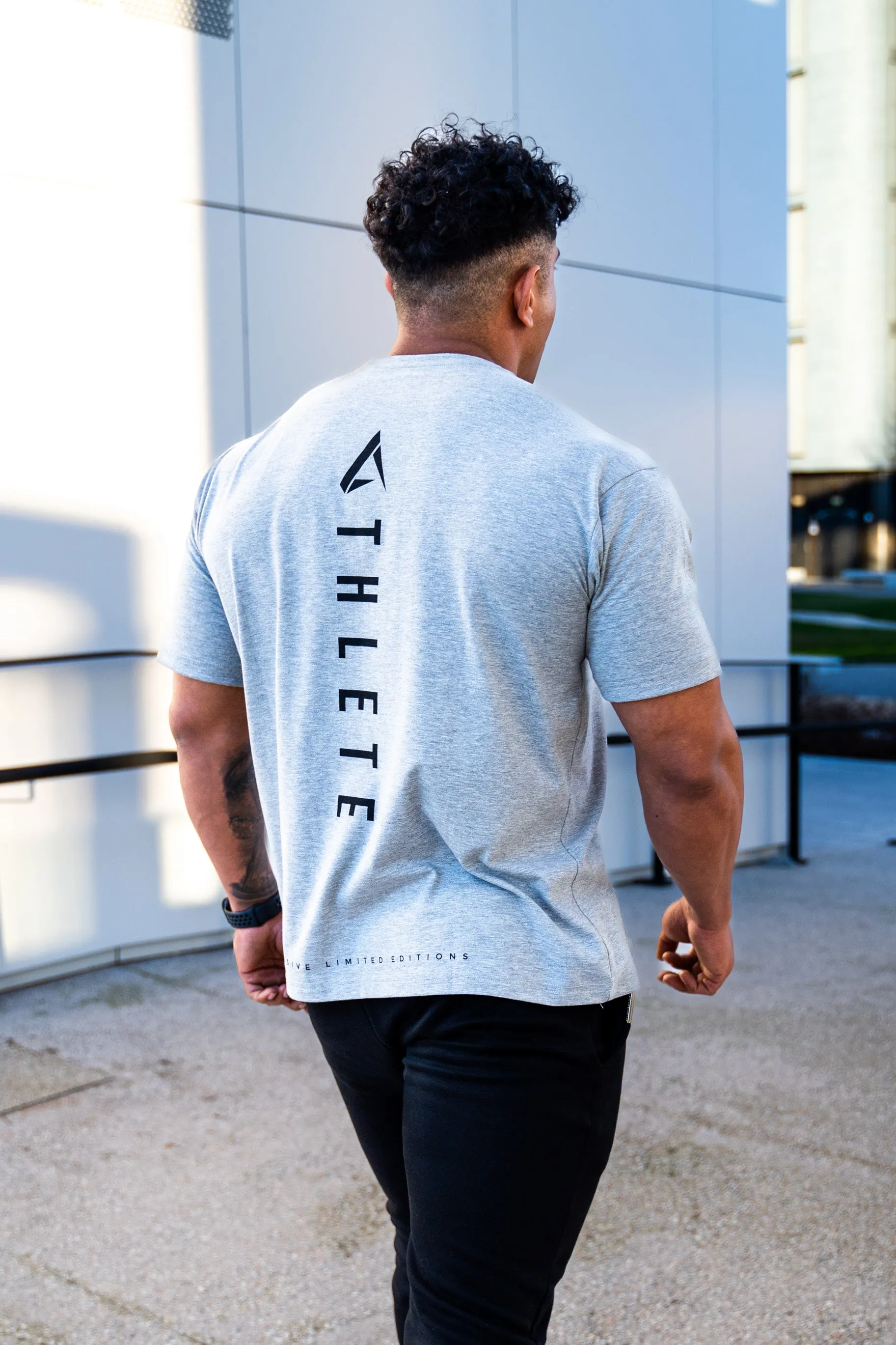 Camiseta ONYX™️ Fitted - Grey