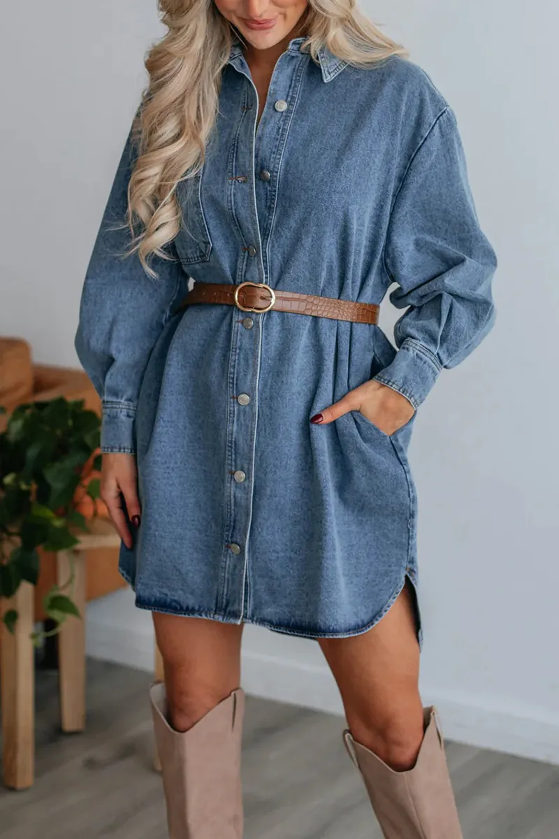 Casual Street Distressed Pocket Buttons Turndown Collar Long Sleeve Loose Denim Dresses(No Belt)