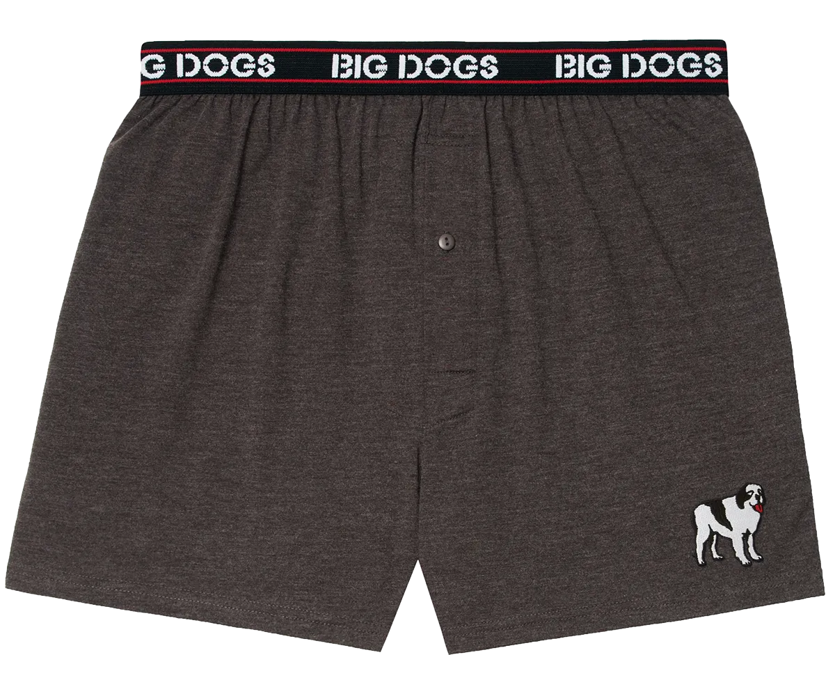 Classic Solid Logo Boxers