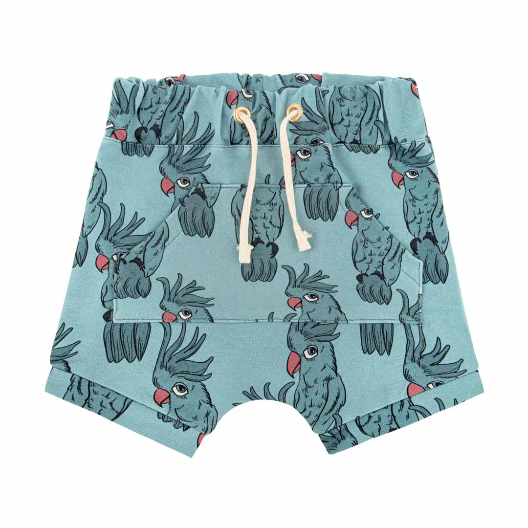 Parrot Blue Shorts - ONLY 2 LEFT