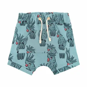 Parrot Blue Shorts - ONLY 2 LEFT