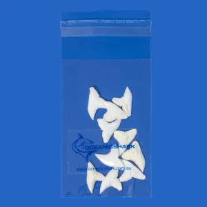 Real Shark Teeth For Sale LTB