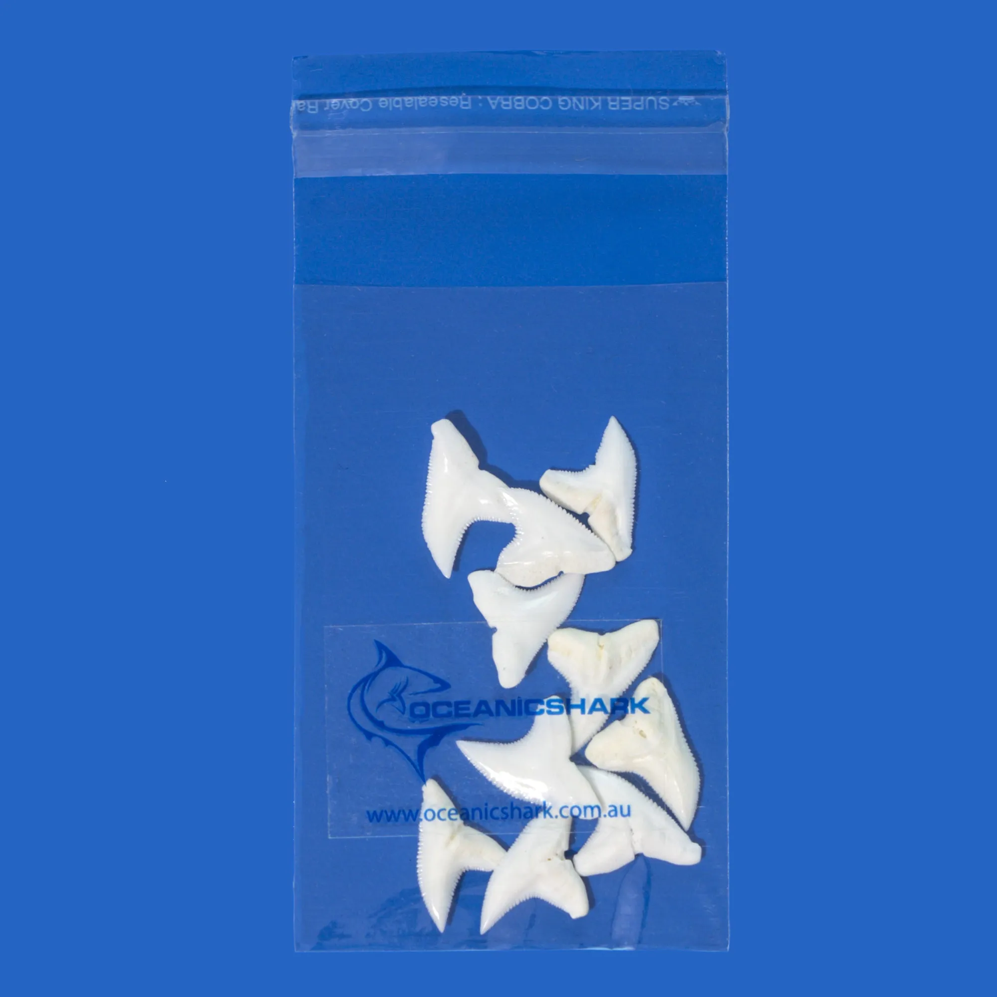Real Shark Teeth For Sale LTB