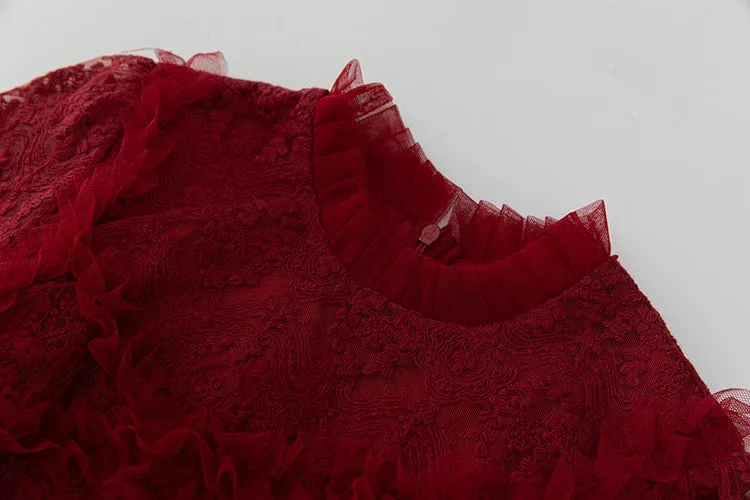 Stormi Stand Collar Long Sleeve Mesh Ruffles Embroidery Slim Long Dress