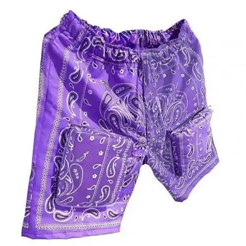 Urban Harajuku Summer Shorts